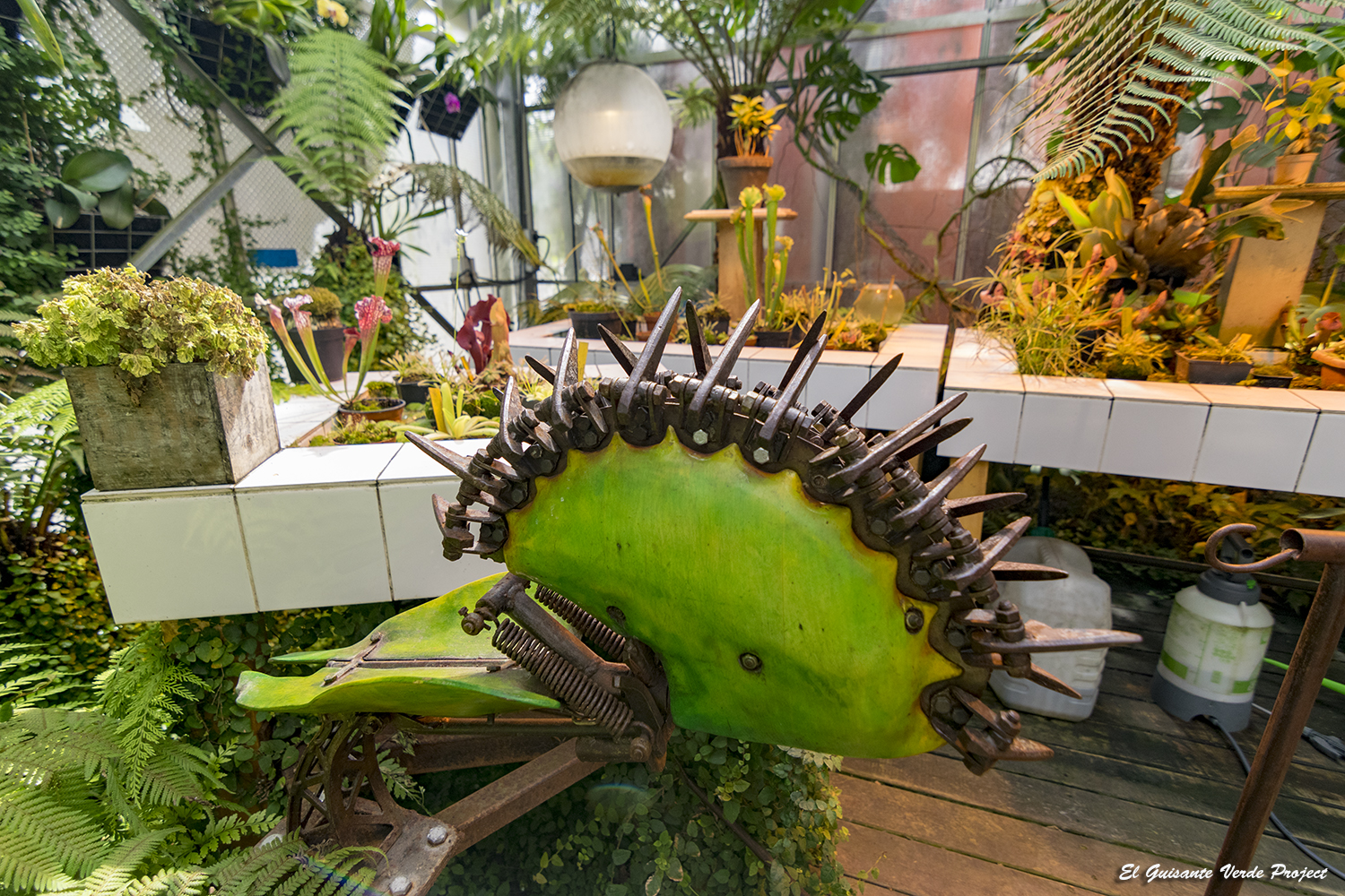 https://nuestrascharlasnocturnas.com/wp-content/uploads/2021/03/3edca-planta_carnivora_galeria_maquinas_isla_nantes_egvp.jpg