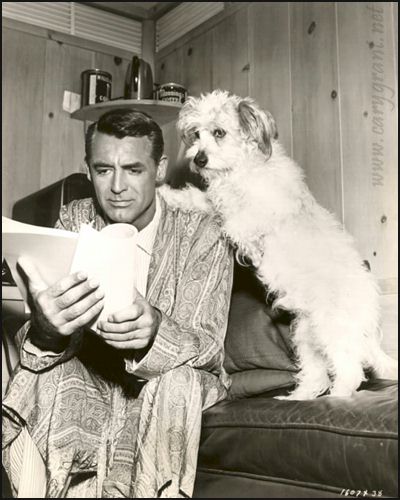 https://nuestrascharlasnocturnas.com/wp-content/uploads/2022/09/cf199-cary_grant-dog-book-patricia-martin-zurro.jpg