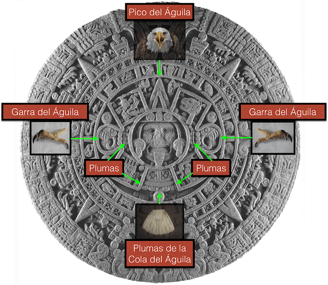 Un águila en la Piedra del Sol ?